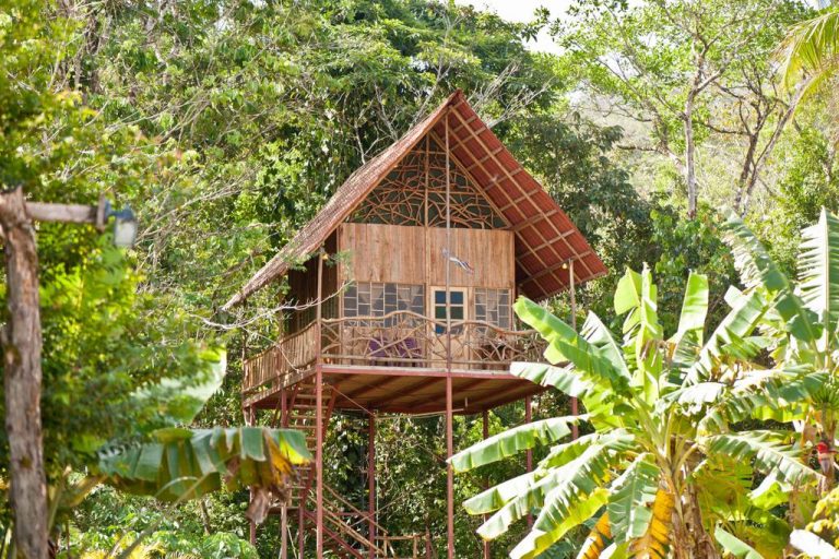 rainforest tree house 768x512 1