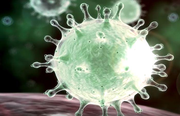 Таинственная вирусная вспышка в Китае: коронавирус