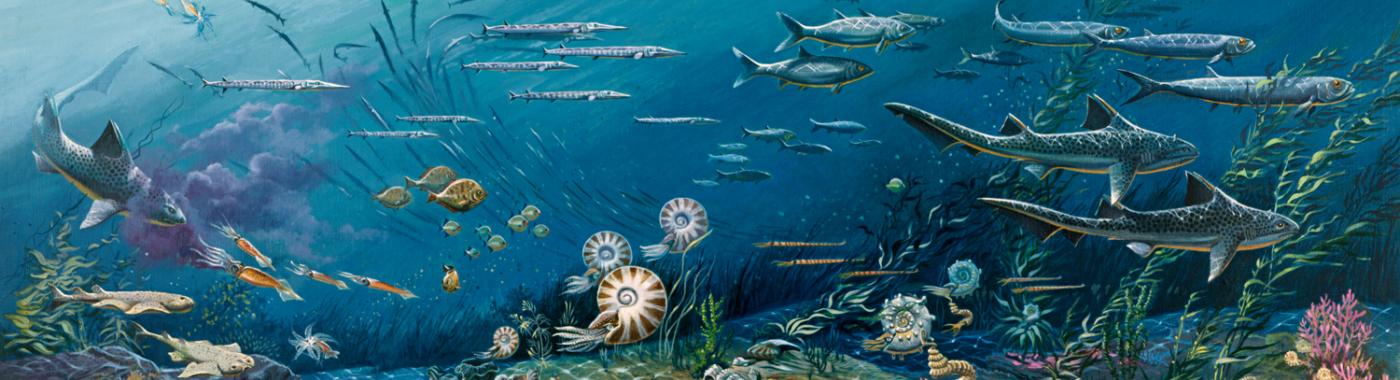 Биологическое разнообразие океана не увеличивается в течение миллионов лет