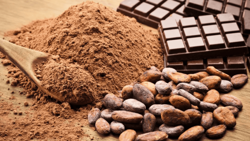 4 преимущества экстракта какао: польфза, вред, противопоказания и дозировка