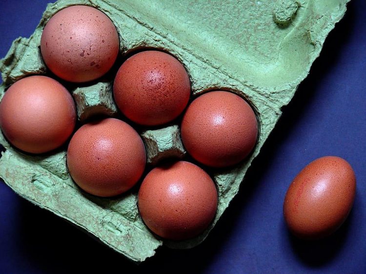 полезно ли есть сырые яйца