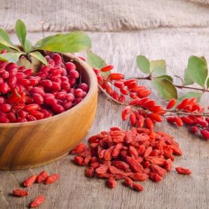 Волчья ягода (Годжи, лайчи): полезные свойства, побочные эффекты и дозировка