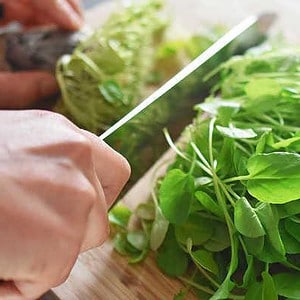 Кресс-салат — простой и доступный суперфуд